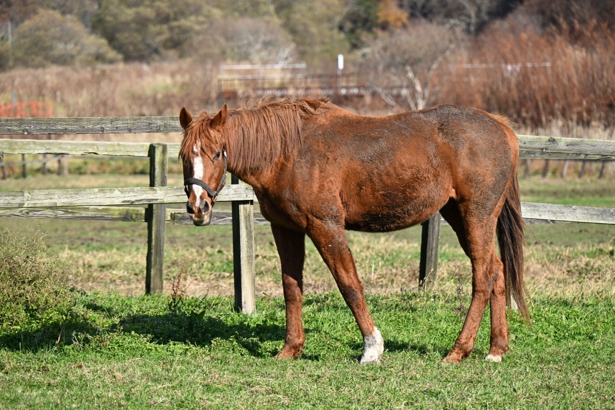 eacd2249591b3796933c45d5024375fd-1763527424.jpg eacd2249591b3796933c45d5024375fd-1763527424.jpg